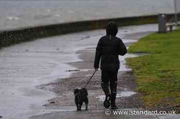 Wind speeds top 90mph as Storm Darragh starts to lash UK