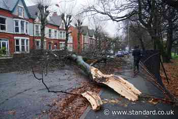 Second person killed in Storm Darragh after tree falls on car