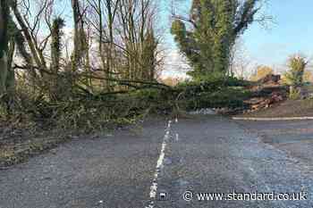 About 22,000 remain without power in Northern Ireland following Storm Darragh