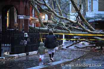 London weather LIVE: Capital battered by strong winds as over 160 Heathrow flights cancelled amid Storm Darragh travel chaos