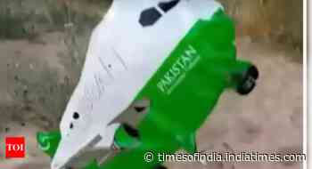 Plane-shaped balloon lands in Rajasthan, third from Pakistan in 35 days