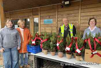 Lions Club en De Zoekmand brengen kerstboompjes bij minderbedeelden