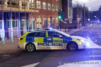 Acton violence: Police name man, 33, killed as 'victim chased with tomahawk' and 'shots fired' in west London