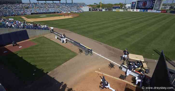 Rays share information on Steinbrenner Field agreement