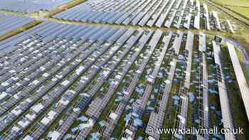 Storm Darragh leaves UK's Biggest solar farm in pieces in blow to green energy