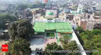 Sambhal mosque surveyor cites health issues, seeks 15-day extension