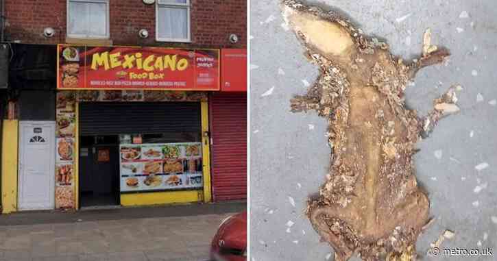 Manky kebab shop closed down after inspectors find deep-fried rat