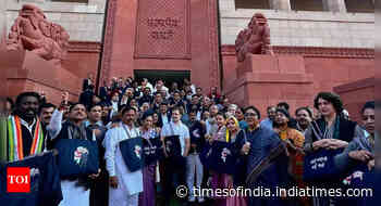 After T shirts and masks, Congress MPs don 'Modi-Adani' bags as Parliament showdown continues