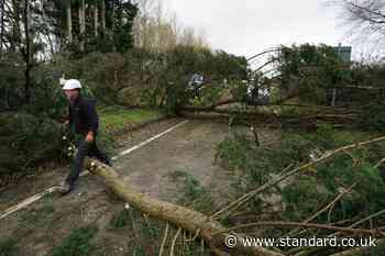 Homes without power after Storm Darragh ‘to be reconnected by Wednesday’