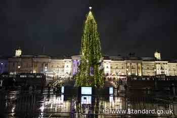 Fact check: Trafalgar Square Christmas tree appears similar to previous years