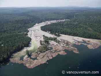 Fifteen fisheries charges laid a decade after Mount Polley dam breached in B.C.