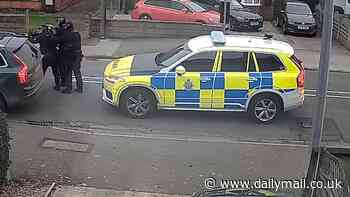 Dramatic moment armed police swarm car and arrest woman, 38, over weapons offences in leafy residential street