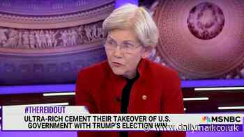 Democratic Sen. Elizabeth Warren forced to walk back wild comments on 'assassin' Luigi Mangione