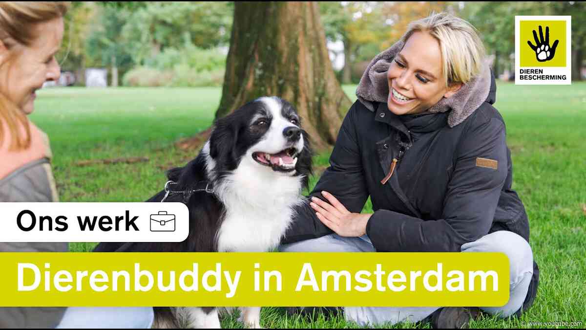 Nicolette Kluijver is Dierenbuddy van hond Job