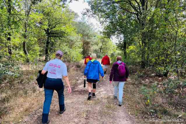 Hanezoekerstochten in Tollembeek