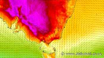 Sydney, Melbourne weather: Urgent heatwave warning issued