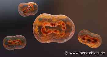 Mpox: Studie zu Tecovirimat wegen mangelnder Wirkung gestoppt