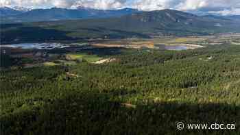 New conservation area announced for Rocky Mountain Trench in B.C.