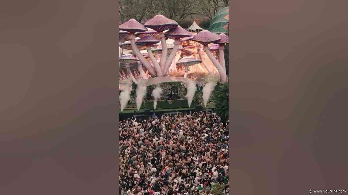 Incredible moments at Tomorrowland Brasil