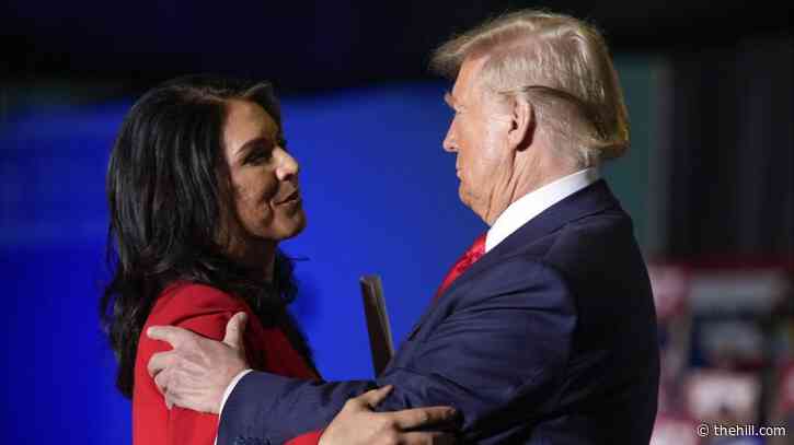 Gabbard to join Trump allies at Army-Navy game