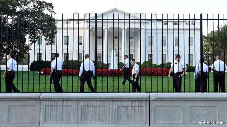 Person arrested after trying to jump White House fence