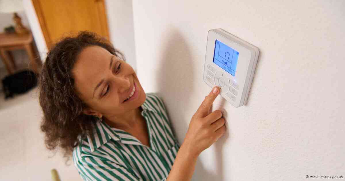 Heating expert’s ‘simple’ thermostat hack could save you ‘hundreds of pounds’ in one year