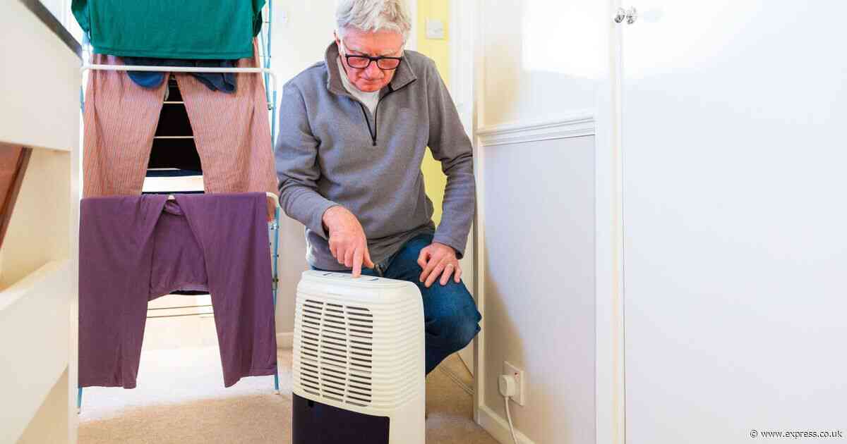 Dehumidifiers will ‘drive up your energy bills’ and ‘won’t work’ if 1 tiny mistake is made