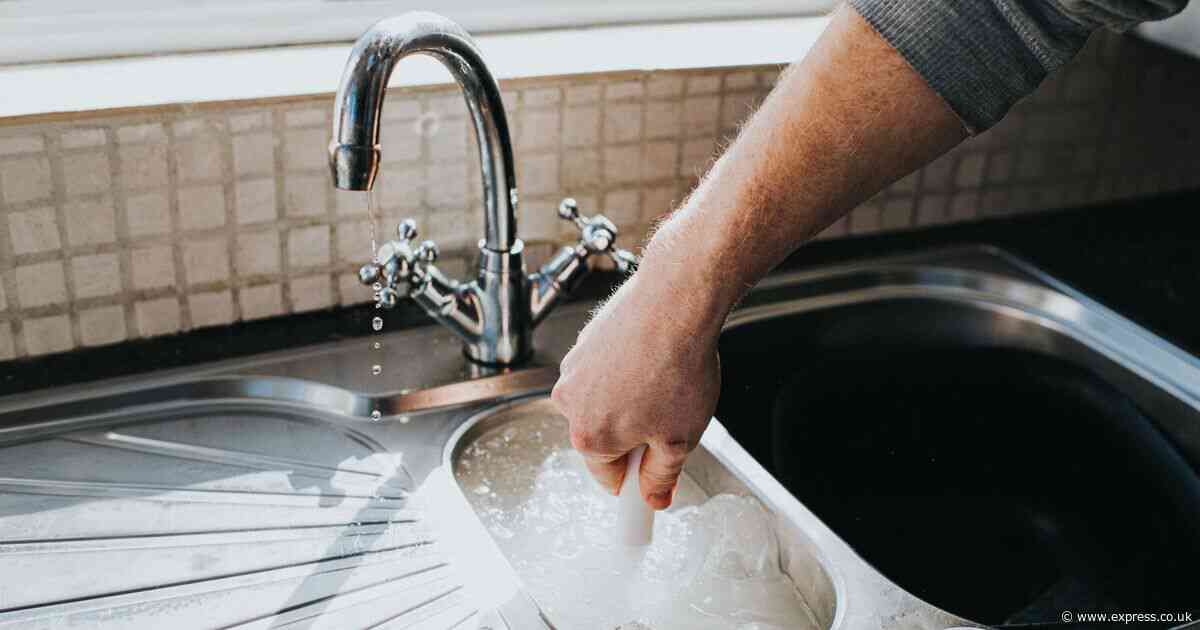 Clear blocked drains with £5 tool plumbers use - it'll save you 'hundreds'