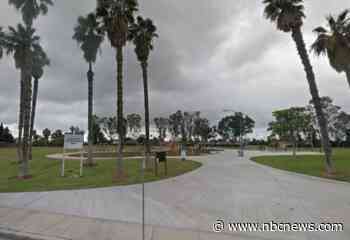 3 dogs kill their owner and injure a bystander at a San Diego park