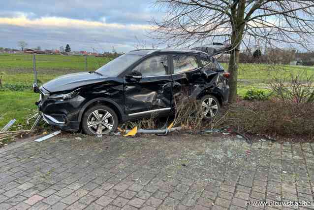 Jongeman (20) valt in slaap achter het stuur en richt ravage aan: “Onze elektrische wagen stond zes meter verder”