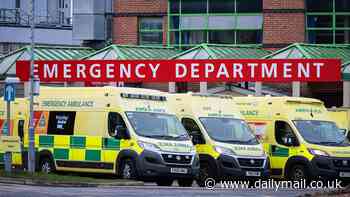 Ambulance delays at the start of winter increase by nearly 50% in a year - as NHS faces 'quad-demic' of flu, Covid, norovirus and RSV