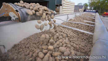 Wordt kwaliteit beloond op de aardappelmarkt?