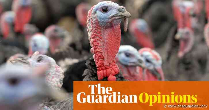 Bird flu is a real pandemic threat. Are we prepared for the worst? | Devi Sridhar