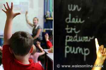 All the challenges schools face to help reach target of a million Welsh speakers by 2050