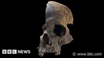 Bronze Age massacre victims likely cannibalised