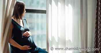 mRNA therapy might one day treat deadly pre-eclampsia in pregnant women