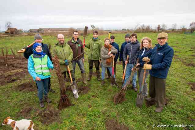 Vrijwilligers planten bos met 3.000 bomen aan: “Liefst 29 verschillende inheemse soorten”