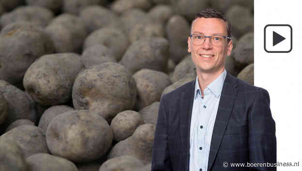 Bijna een aardappelprijs aan verschil in de markt