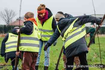 Leerlingen KlimOp planten honderd inheemse bosplantjes op eerste natuurperk van Wuustwezel: miniwoud waarin bioversiteit vrij spel krijgt