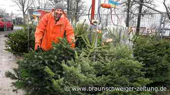 Hier gibt‘s in Wolfsburg frische Weihnachtsbäume zu kaufen