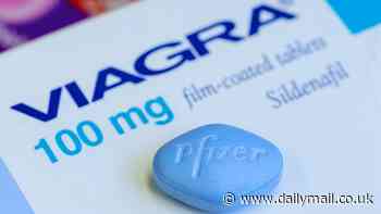 Viagra firm launches new 'discreet' version - dissolving wafer ends embarrassment of being caught with the little blue pill