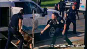 Moment dog is seized by cops after animal and two others mauled owner to death