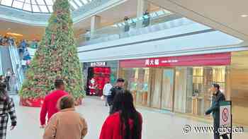 Police seek suspects in jewelry store smash-and-grab in North York mall