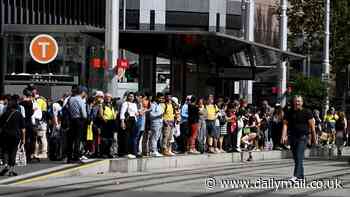 Sydney light rail out of service after 'communications issue' plunges network into chaos