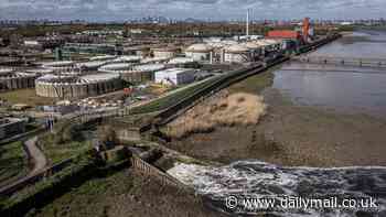 England's sewage scandal took place because successive governments failed to enforce the law for three decades, investigation reveals