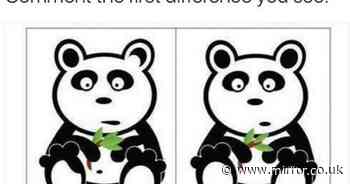 Only those with perfect observation skills can spot differences in panda pic