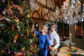 Dit zijn de tien mooiste kerstbomen van Limburg: stem hier op jouw favoriet