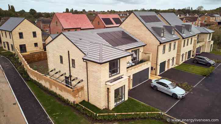 British Gas enters low carbon homes sector