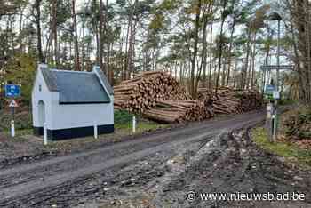 ‘Verplegingskappingen’ en aanplantingen maken bossen klimaatrobuuster