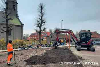 Leerlingen lagere school en bewoners Ter Linde planten samen bloembollen op dorpsplein